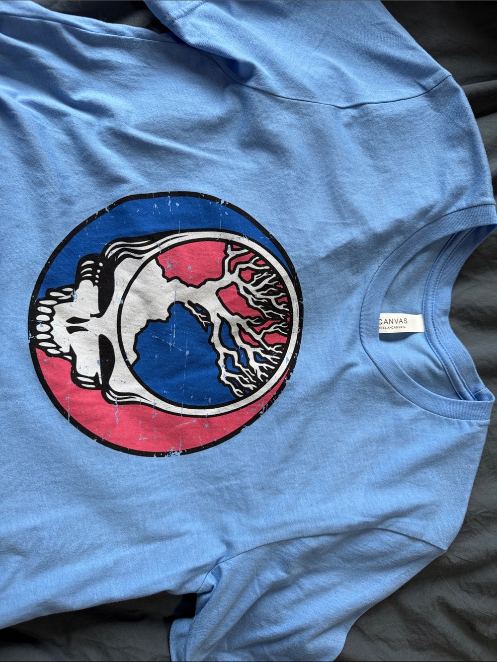 Bella Canvas Light Blue Kids Tee with Red, Blue & White Skull Graphic